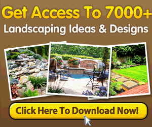 Landscaping Ideas