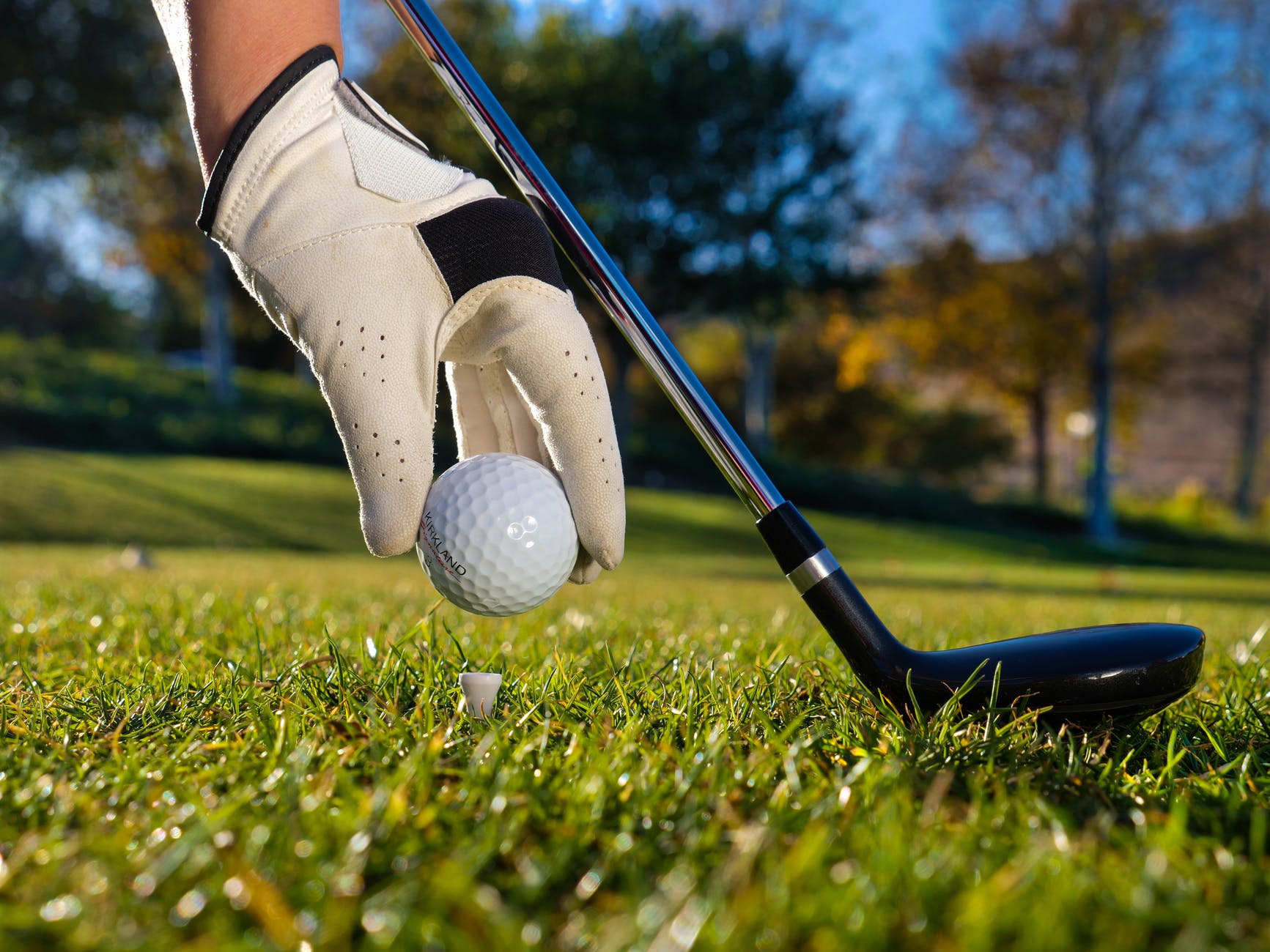landscape playing grass sport