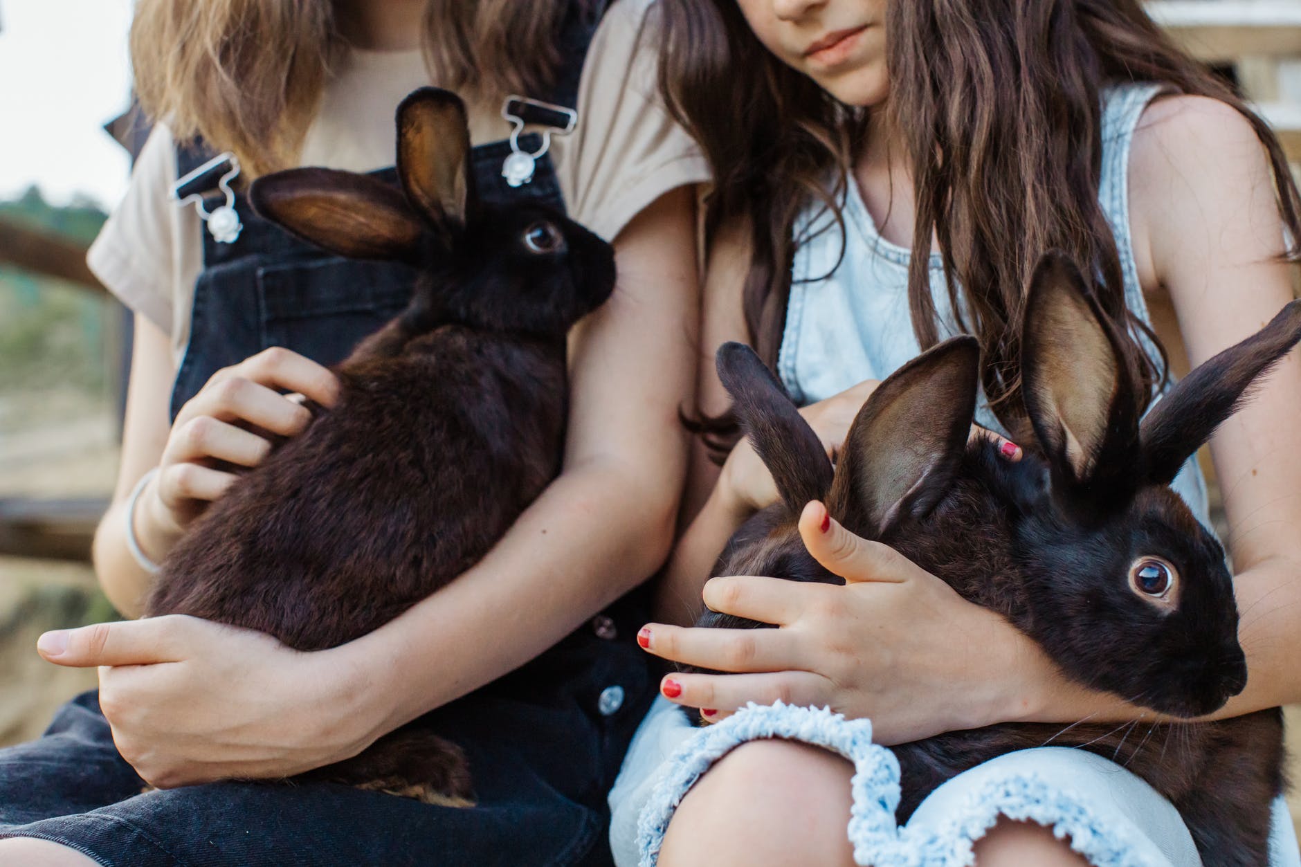 woman in white shirt holding black rabbit
