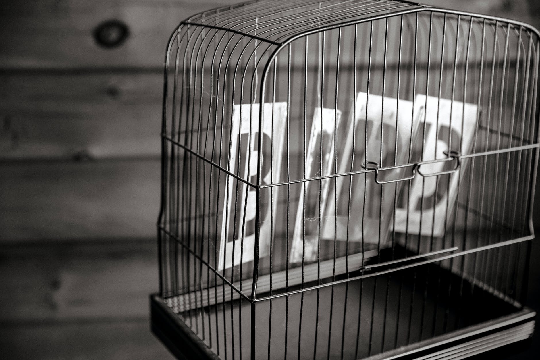 black and white bird birdcage cage