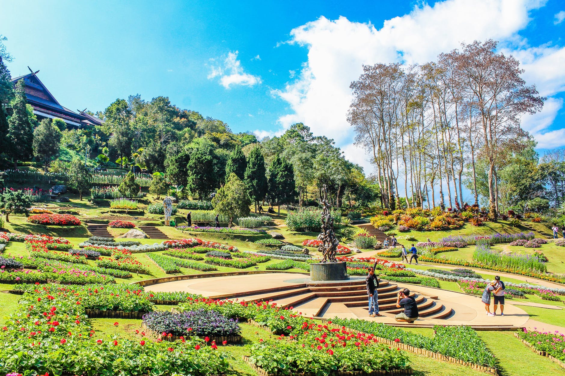 photography of a beautiful park