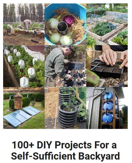 Self-Sufficient-Backyard
