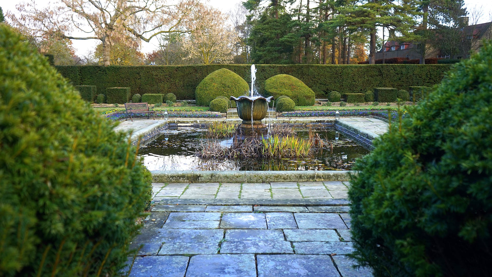 water fountain beside green leaf trees