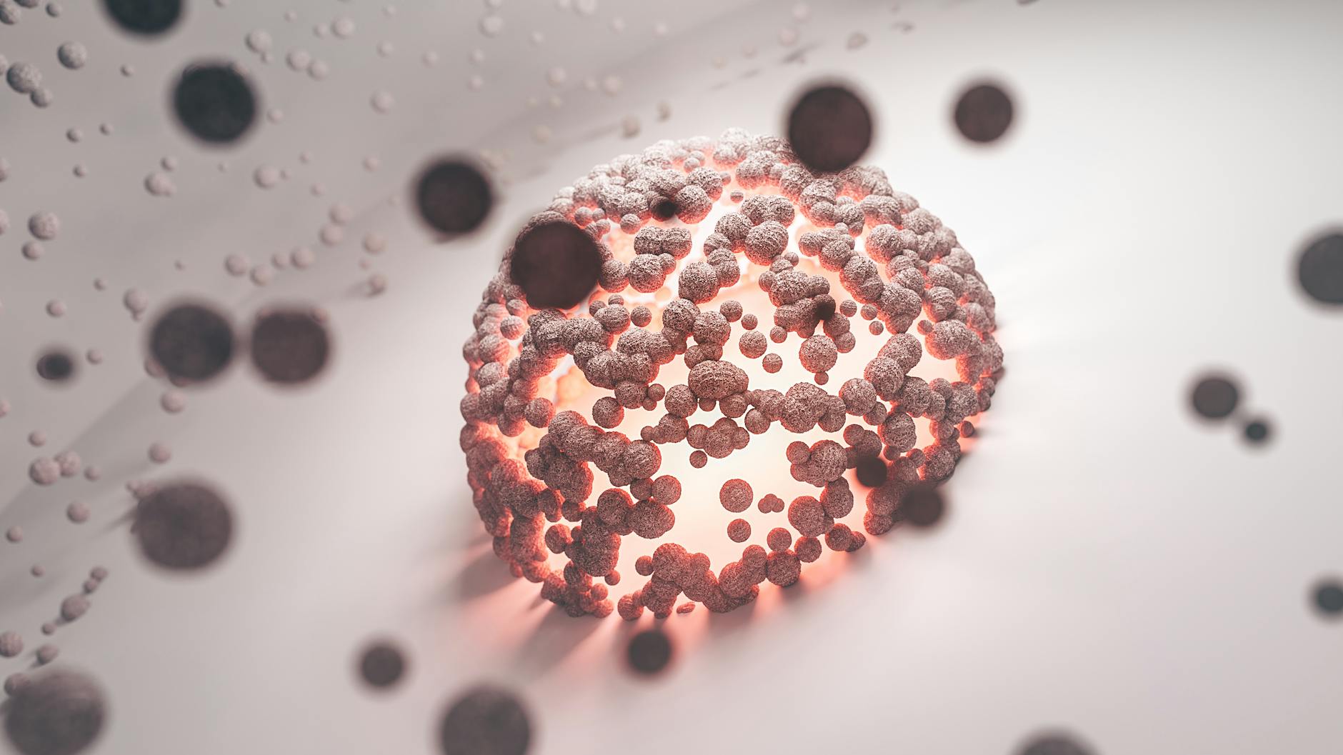 bacteria on white background